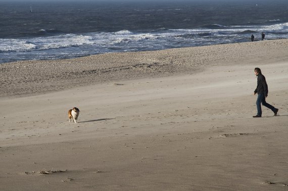 Leinenzwang am Strand? Freiheit für meinen Hund!